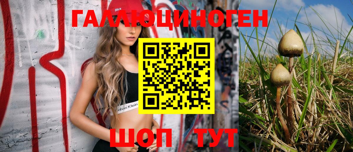 Псилоцибиновые грибы Psilocybine cubensis  Псилоцибиновые грибы мицелий  Вход с VPN  Щёлково 